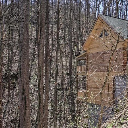 The Phoenix Cabin With Hot Tub In Gatlinburg! Extérieur photo